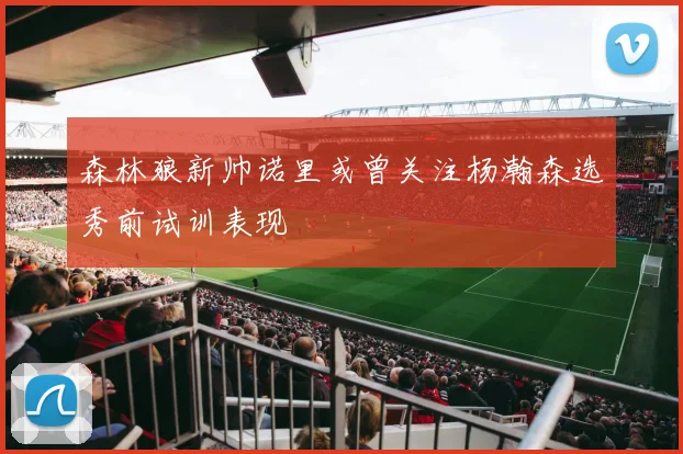 森林狼新帅诺里或曾关注杨瀚森选秀前试训表现
